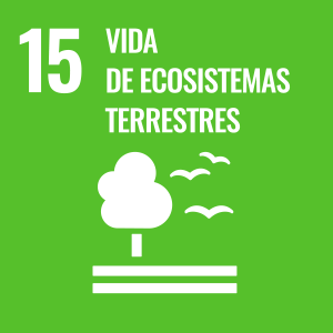 ODS 15. Vida de ecosistemas terrestres